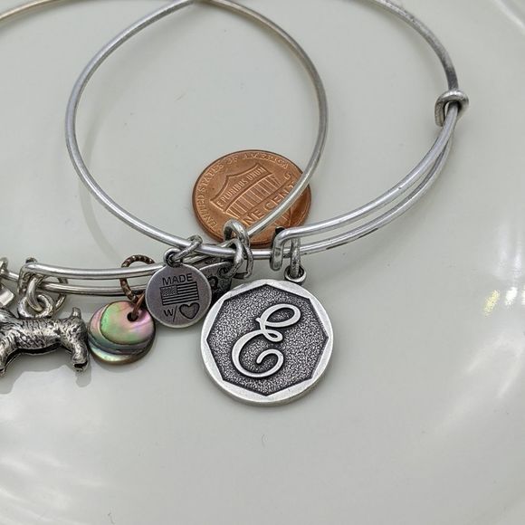 Alex and Ani Rafaleian Silver Dog Int. E Bracelets - Picture 3 of 8
